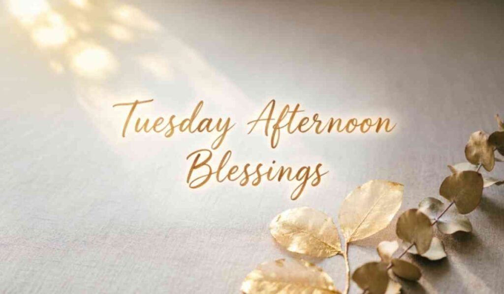 Tuesday Afternoon Blessings